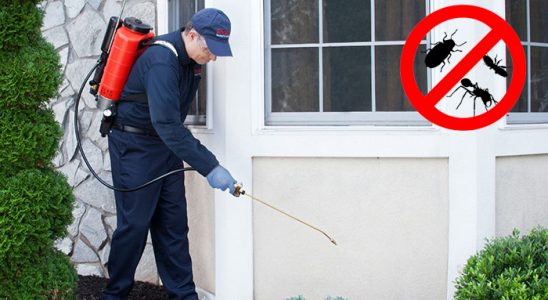 Alaçatı Gümüşkurt İlaçlama böcek ilaçlama ve haşere kontrolü — ilaclama-tr.com